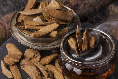 Woody perfume family